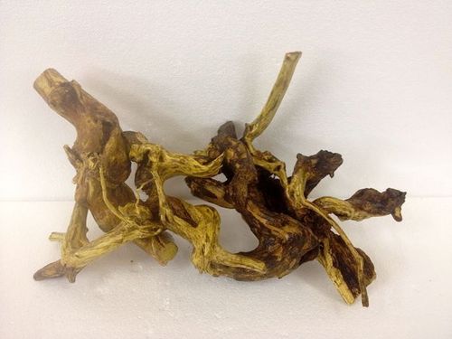 Drift Wood