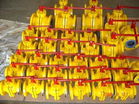 Lined Valve