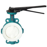 PTFE Lined Butterfly valve