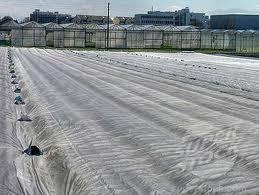 non woven agricultural fabric