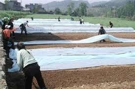 Non-Woven Fabric for Covering Plants