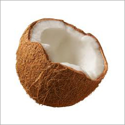 Coconut