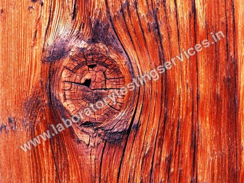 Wood Testing 
