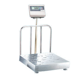 Platform Scale IP 67 Protected Stainless Steel