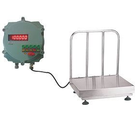Flame Proof Stainless Steel Scale