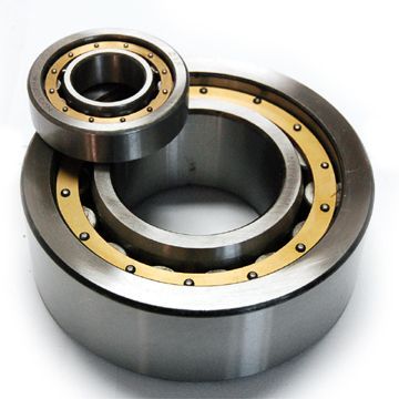 Cylindrical Roller Bearing