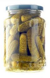 Fresh Gherkins