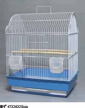 Birds Cages