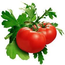 Tomatoes