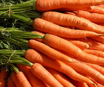 Fresh Carrots