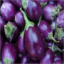 Fresh Vegetables
