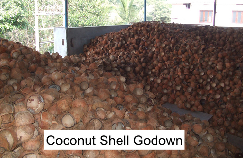Coconut Shell