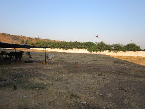 Warehousing Solution