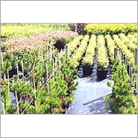 PP Ground Cover