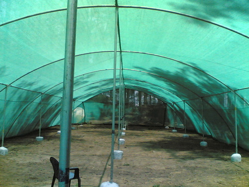Vegetables green shade net for farm