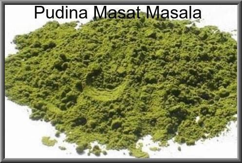 Pudina Mast Masala