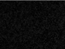 absolute black