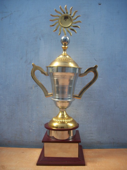 501 - Brass Wood, 300-500 mm, Gold | Elegant Design, Durable, Corrosion Resistant, Polished Finish