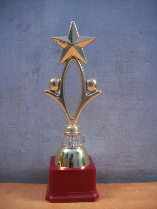 Star(plastic)trophy