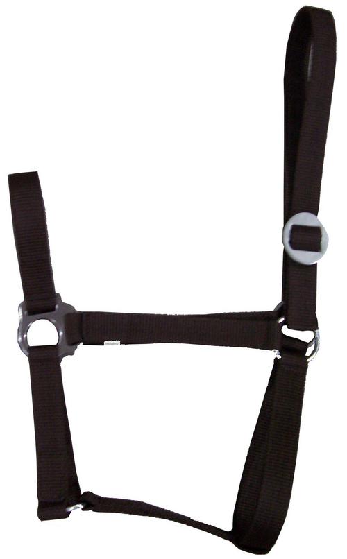 Economy Horse Halter