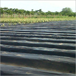 Plastic Mulch Films