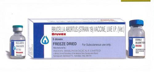 Bruvax vaccine