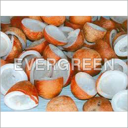 Edible Copra
