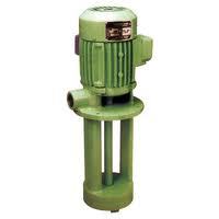 Coolant motor