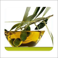 Hyaluronic Acid Moisturizing Body Cream