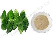 Vegetable Powder