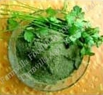 Coriander Leaves Powder Shelf Life: 12 Months