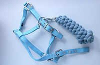 Lead Rope Nylon Halter  