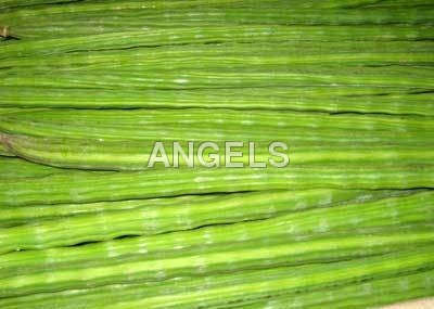 Green Drumsticks