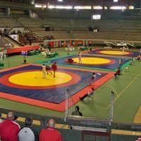 Wrestling Mats Wrestling Mats Exporter Manufacturer