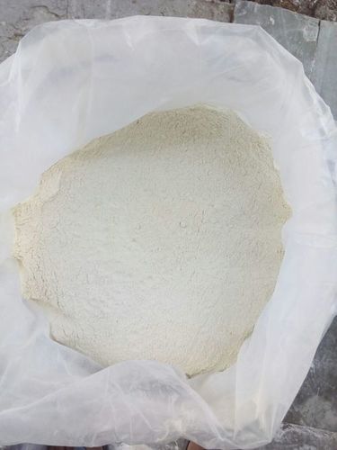 White Onion Powder