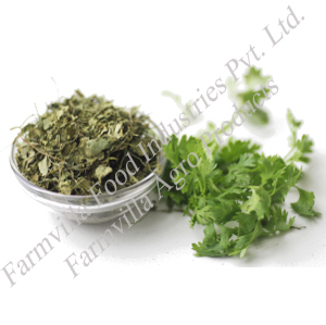 Dried Coriander Leaves Shelf Life: 12 Months