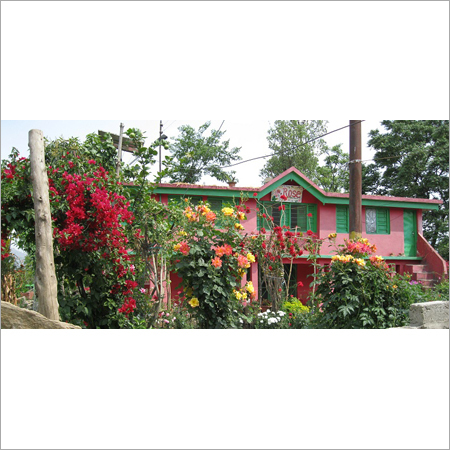 Flowers At Jpgu April 2011