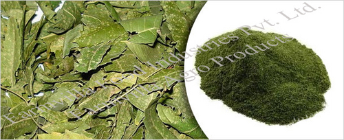 Neem Powder