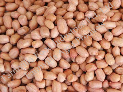 Normal Indian Groundnut Kernels