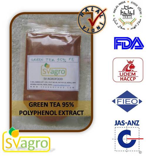 Green Tea Extract