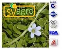 BACOPA EXTRACT