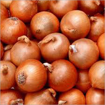 Red Onions - Varied Sizes, Firm Texture, Brown Color | Delicious Taste, High Nutritional Value, Hygienic Processing, Free from Toxins