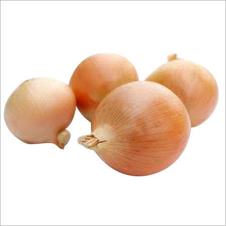 Fresh Red Onions