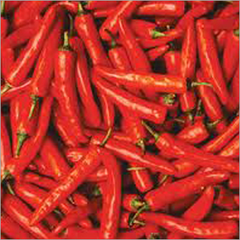 Red Chilies