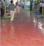 Self Level Epoxy Cementitious Screed