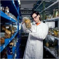 Formalin Water Treatment Chemical