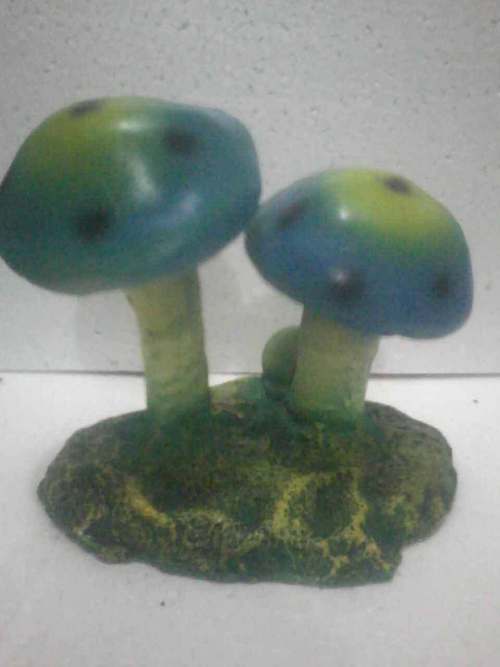TI Fiber Mushroom