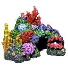 Fish Toys