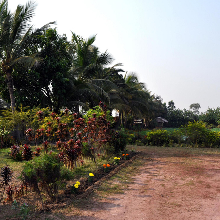 Natural Pigments