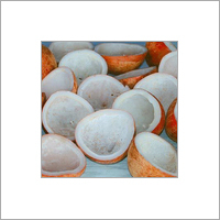 Cocos Nucifera Copra